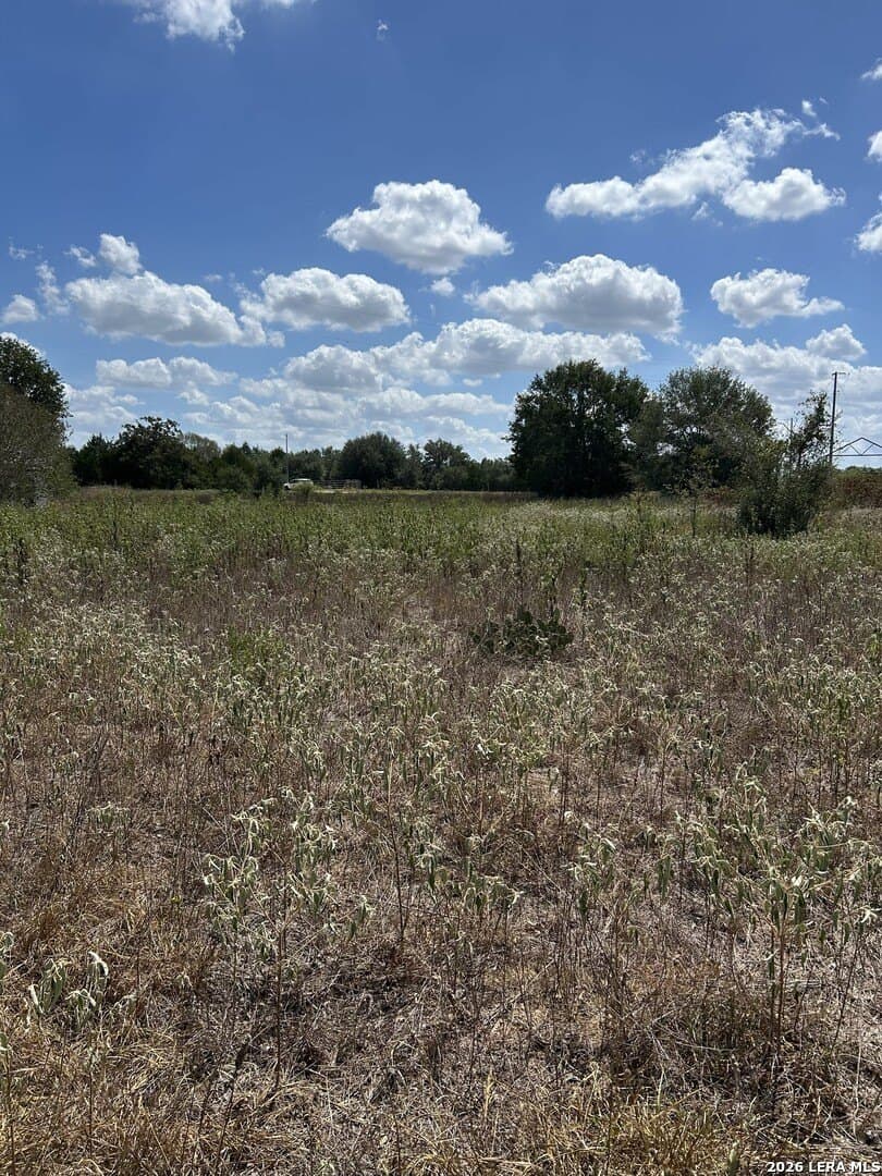 25 acres in Fayette County - photo 7
