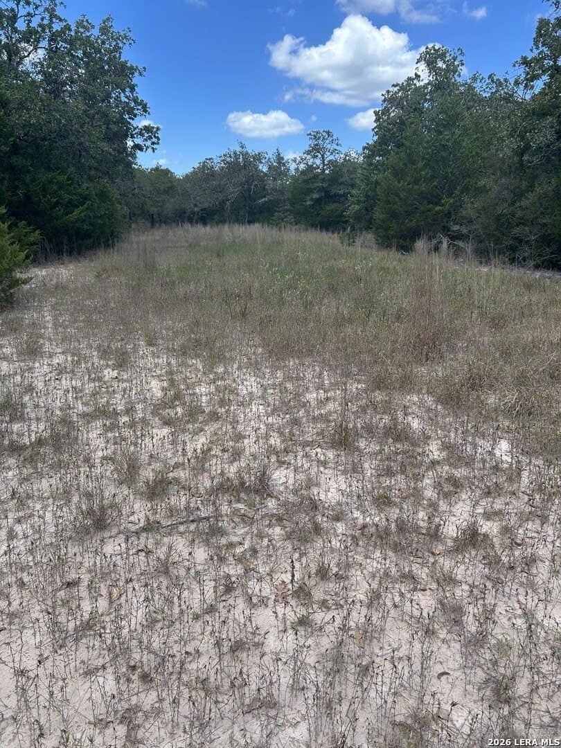 25 acres in Fayette County - photo 5
