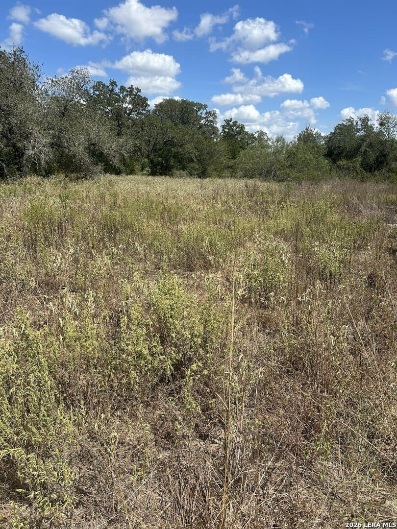 25 acres in Fayette County - photo 3