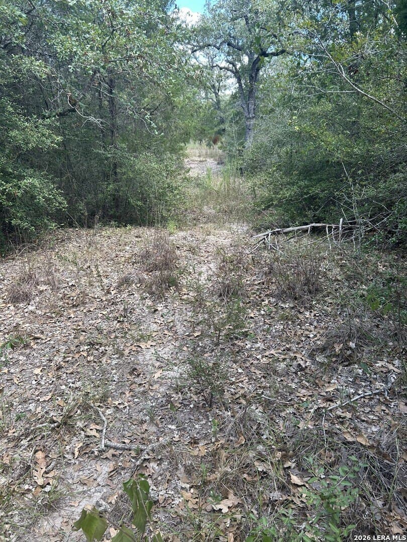 25 acres in Fayette County - photo 6