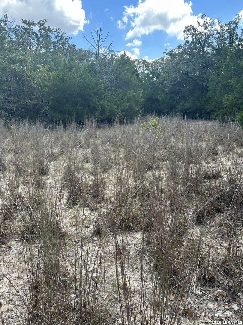 25 acres in Fayette County - photo 4