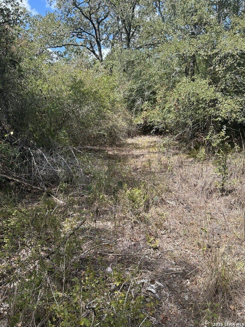 25 acres in Fayette County - photo 2
