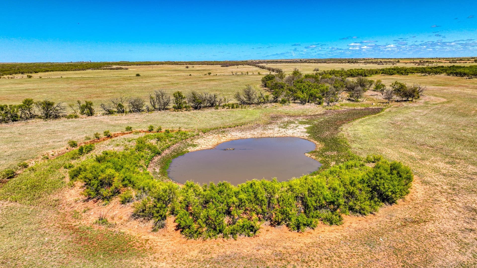 216 acres in Archer County - photo 20