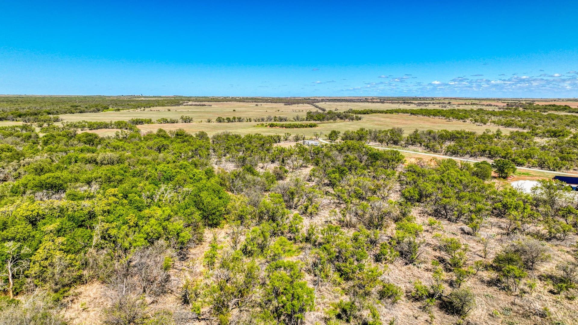 216 acres in Archer County - photo 11