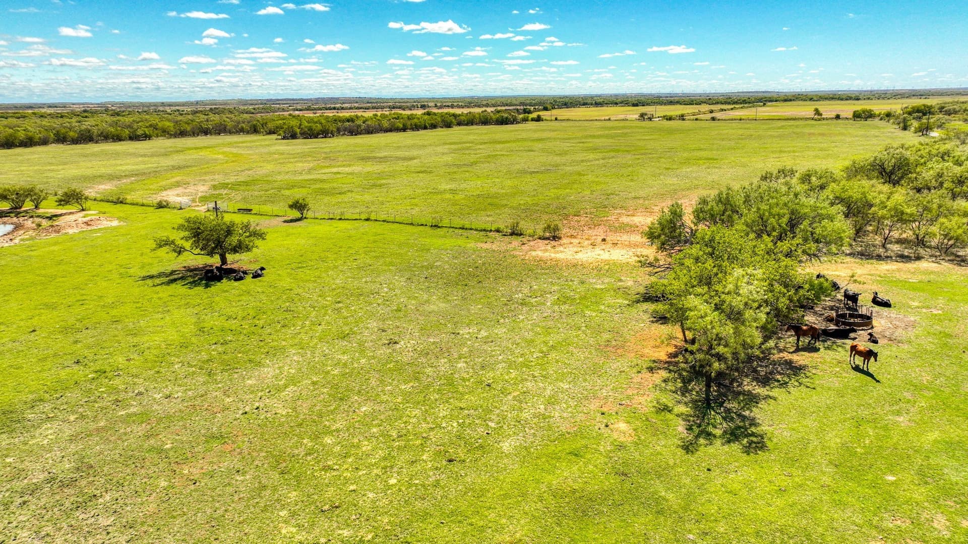 216 acres in Archer County - photo 17
