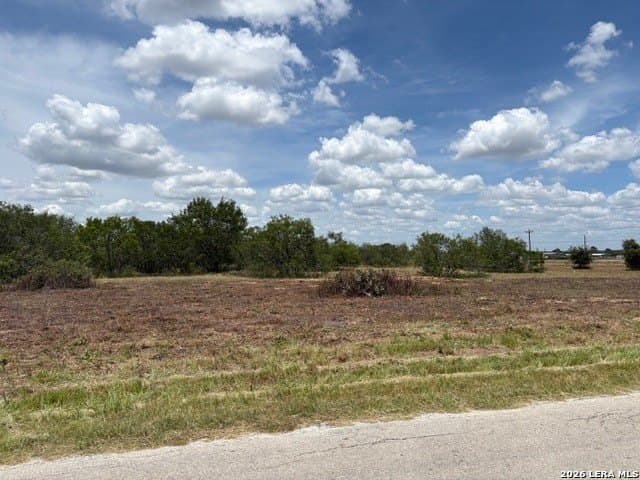 3.2 acres in Wilson County gallery image 3