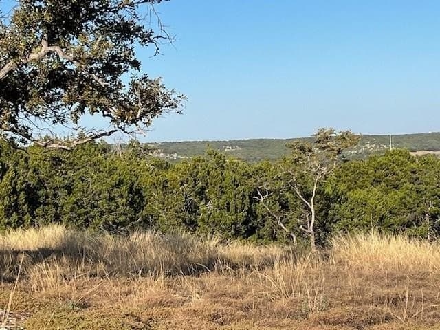 10.02 acres in Gillespie County