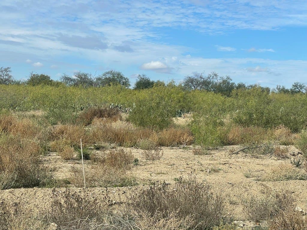 10.38 acres in Maverick County - photo 7