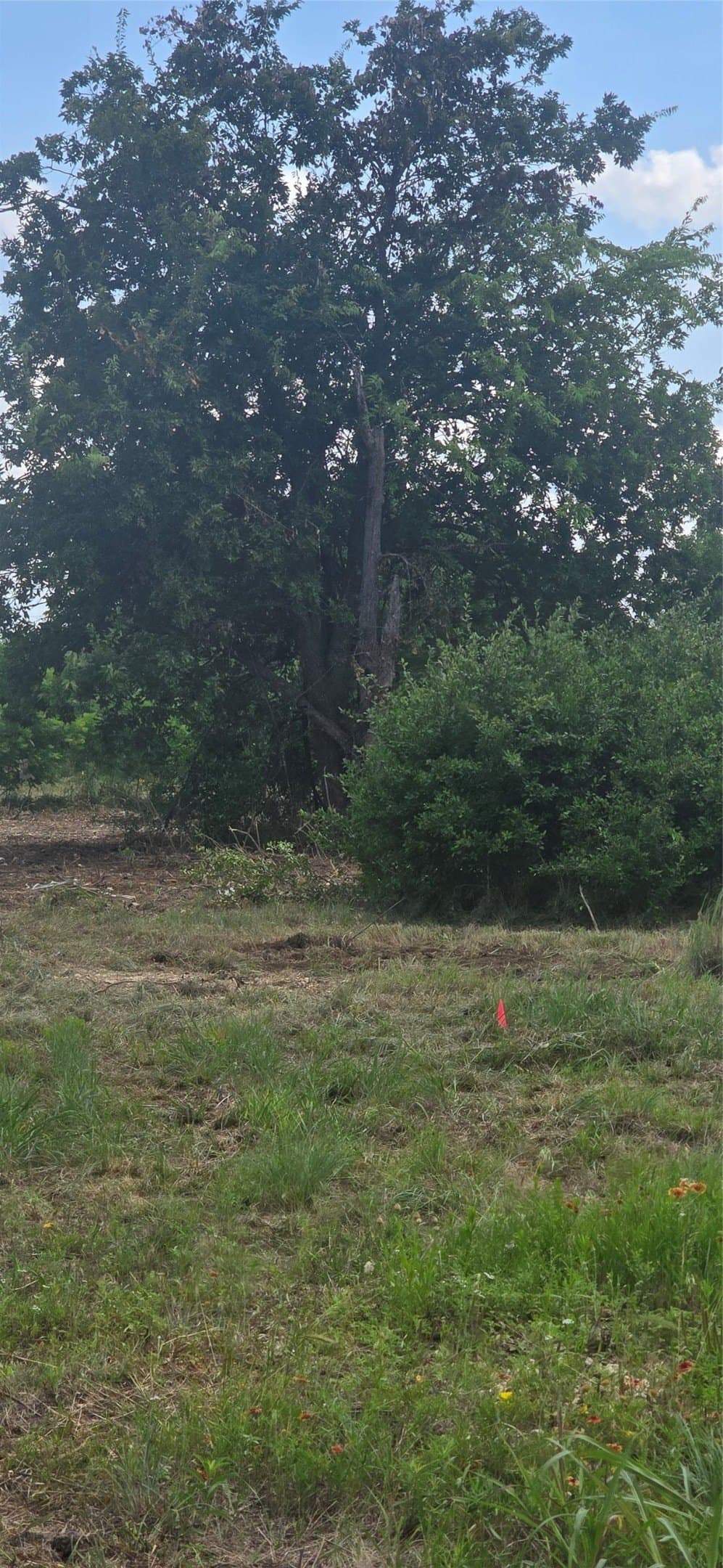 0.16 acres in Parker County - photo 10