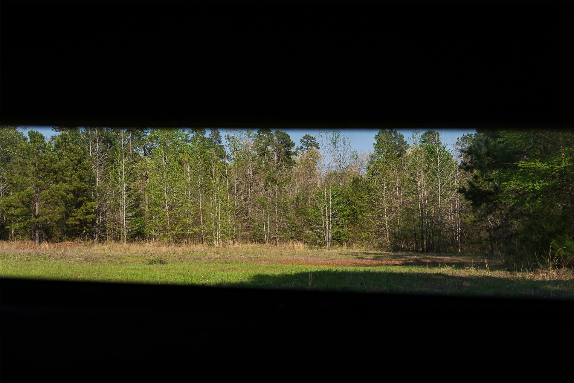 299 acres in Upshur County - photo 12