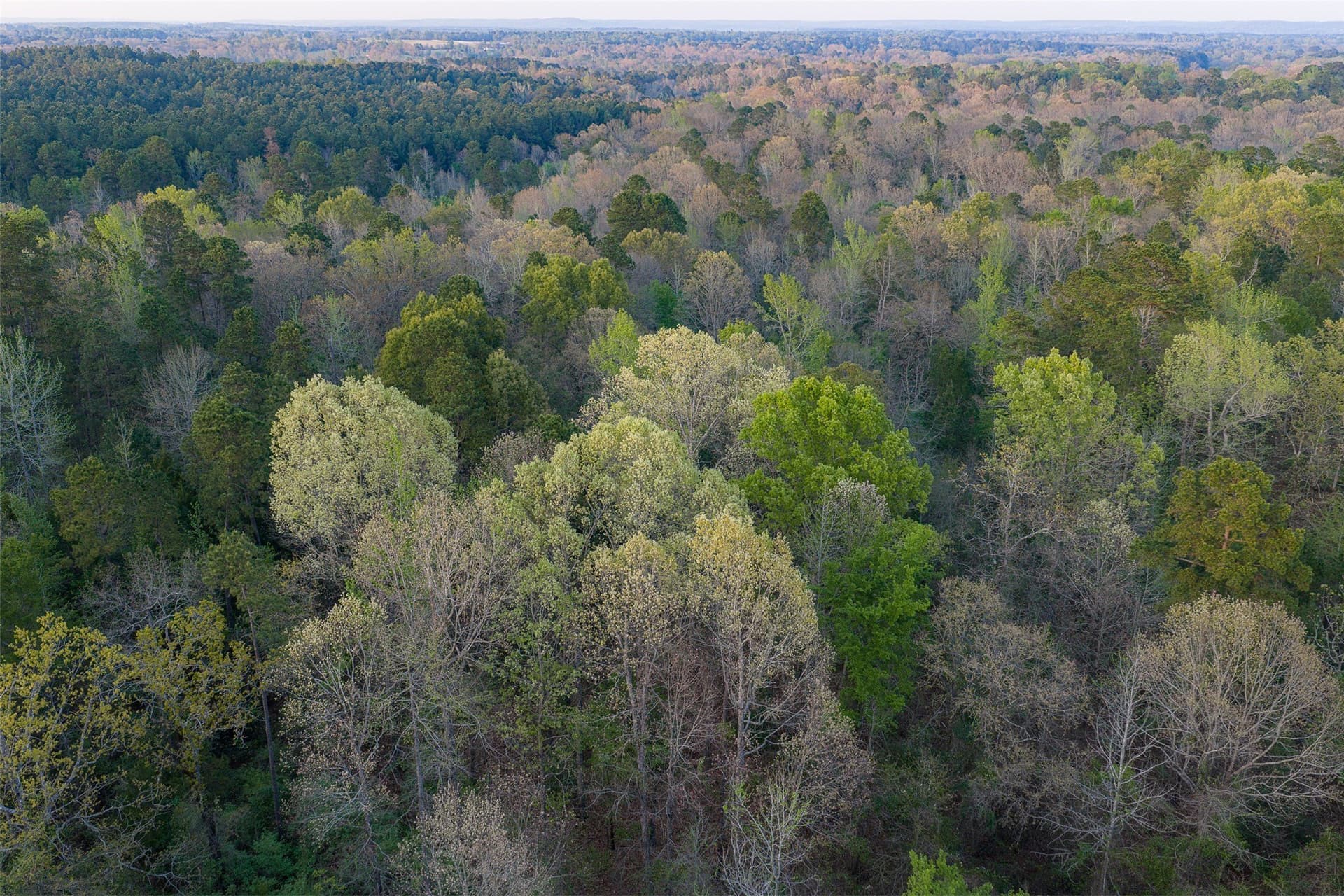 299 acres in Upshur County - photo 27