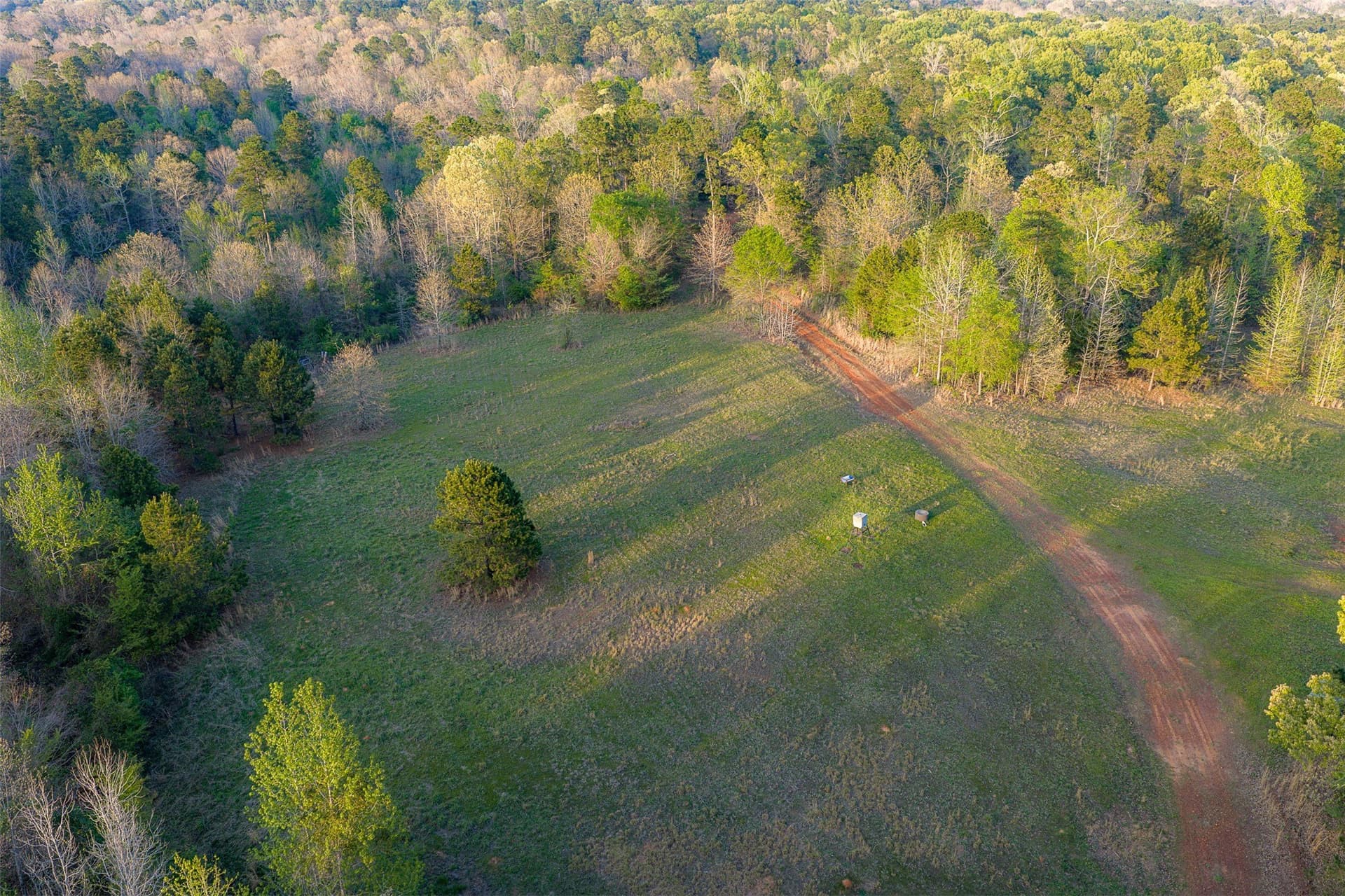 299 acres in Upshur County - photo 4