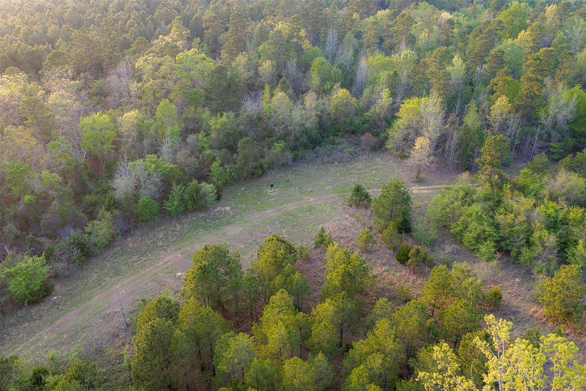 299 acres in Upshur County - photo 15