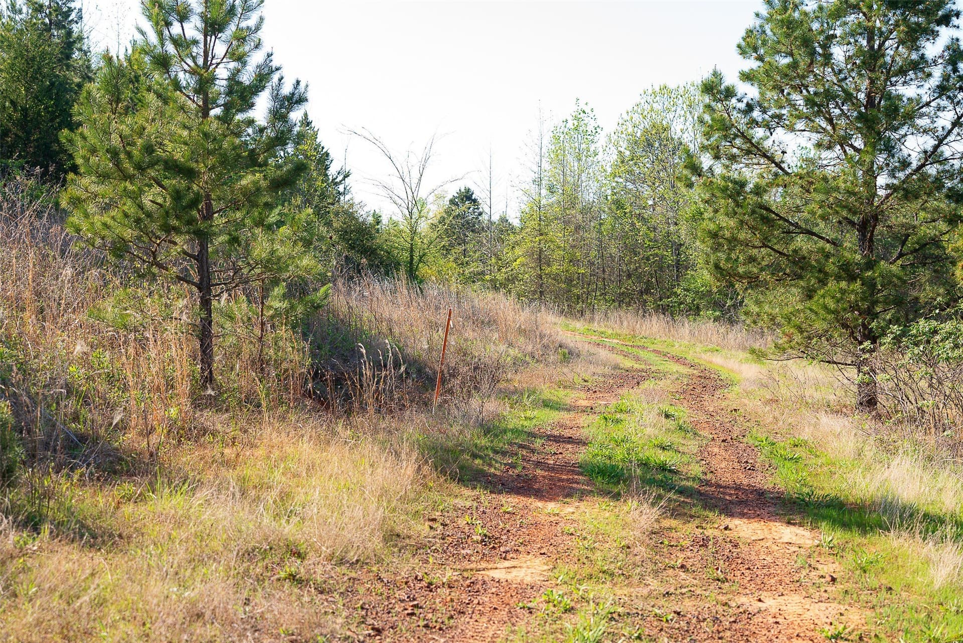 299 acres in Upshur County - photo 25