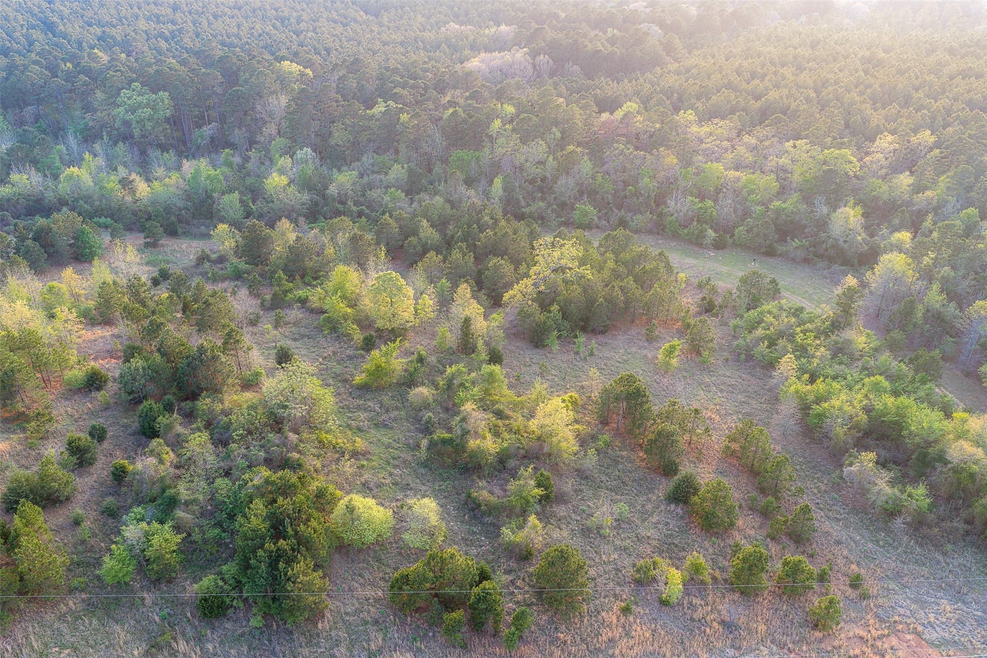 299 acres in Upshur County - photo 16