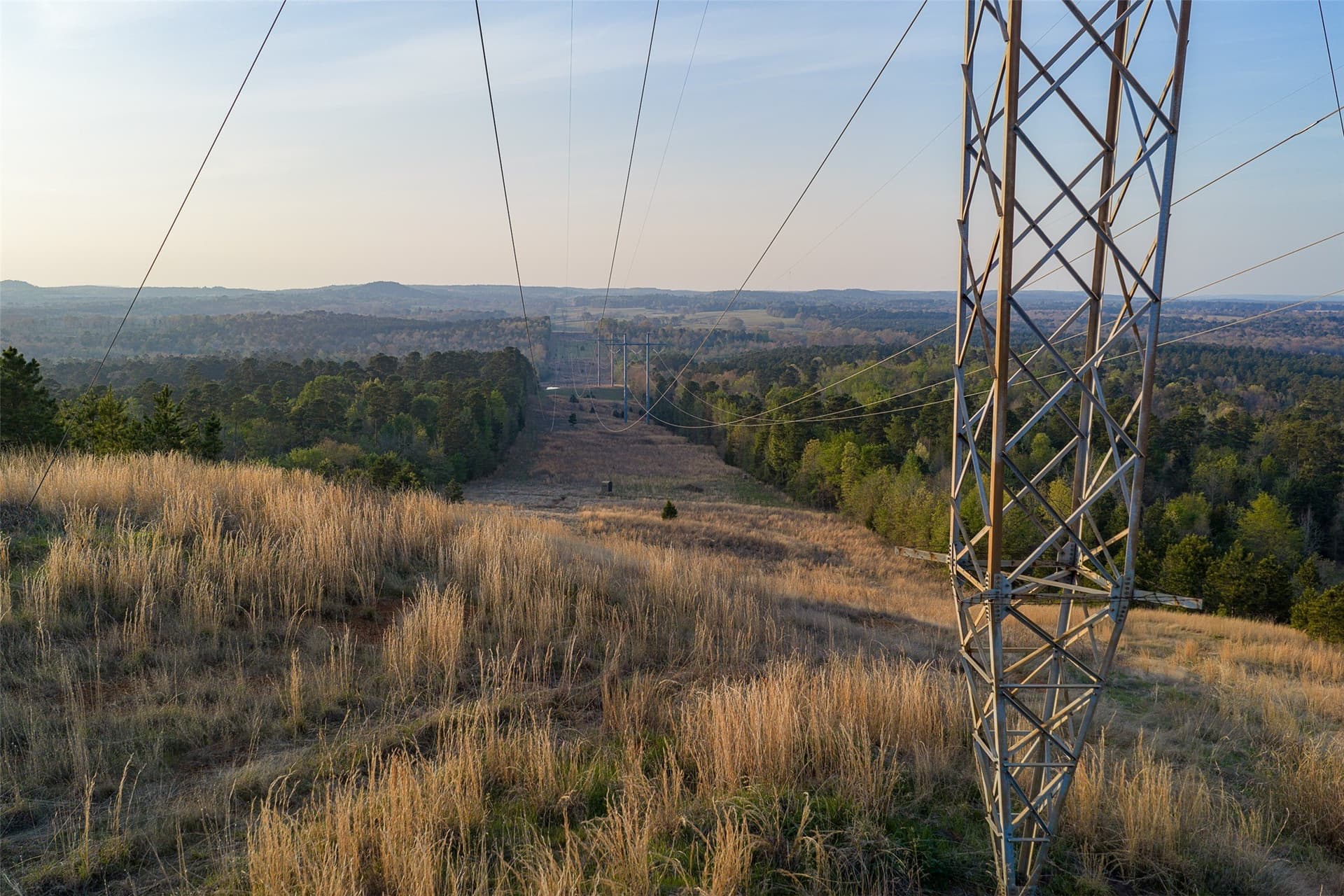 299 acres in Upshur County - photo 10
