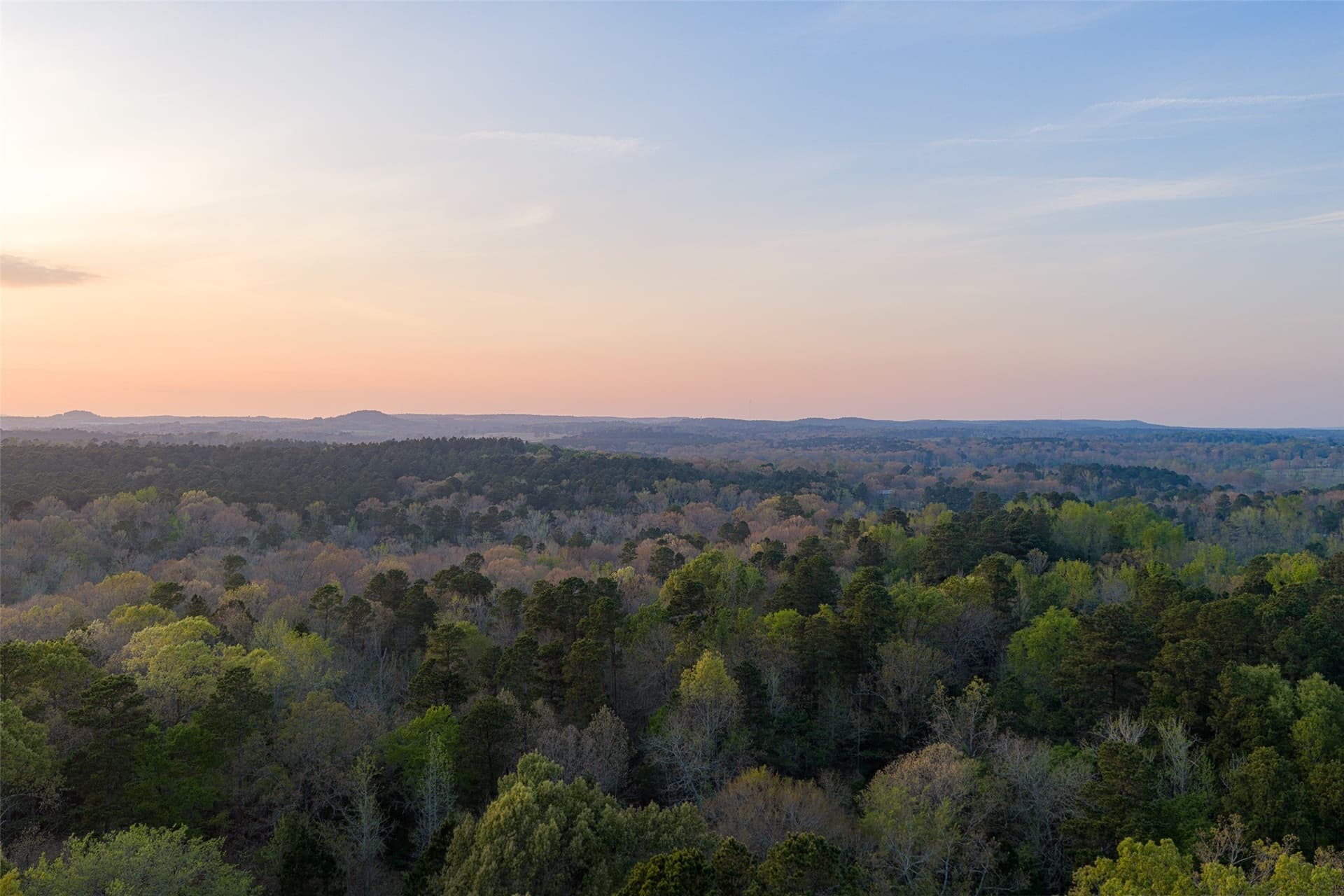 299 acres in Upshur County - photo 3