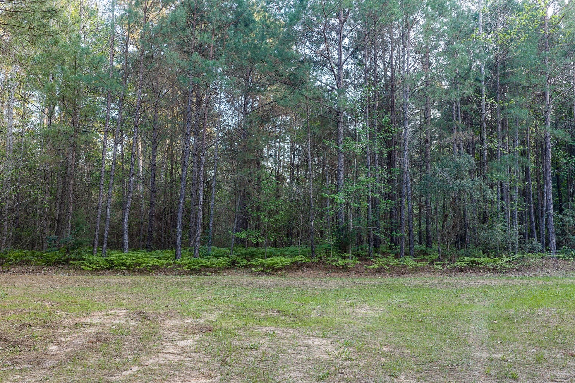 299 acres in Upshur County - photo 9