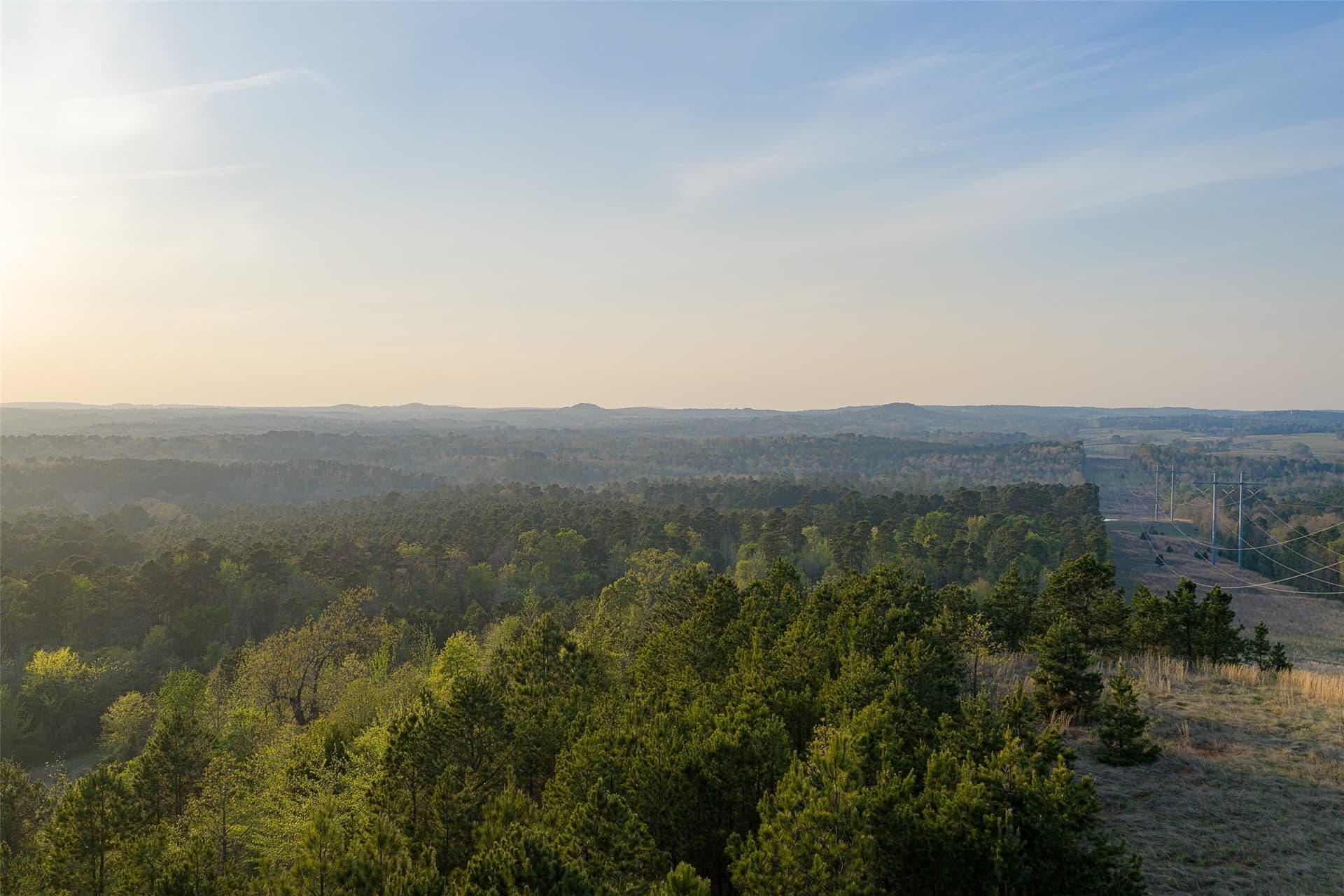 299 acres in Upshur County - photo 31