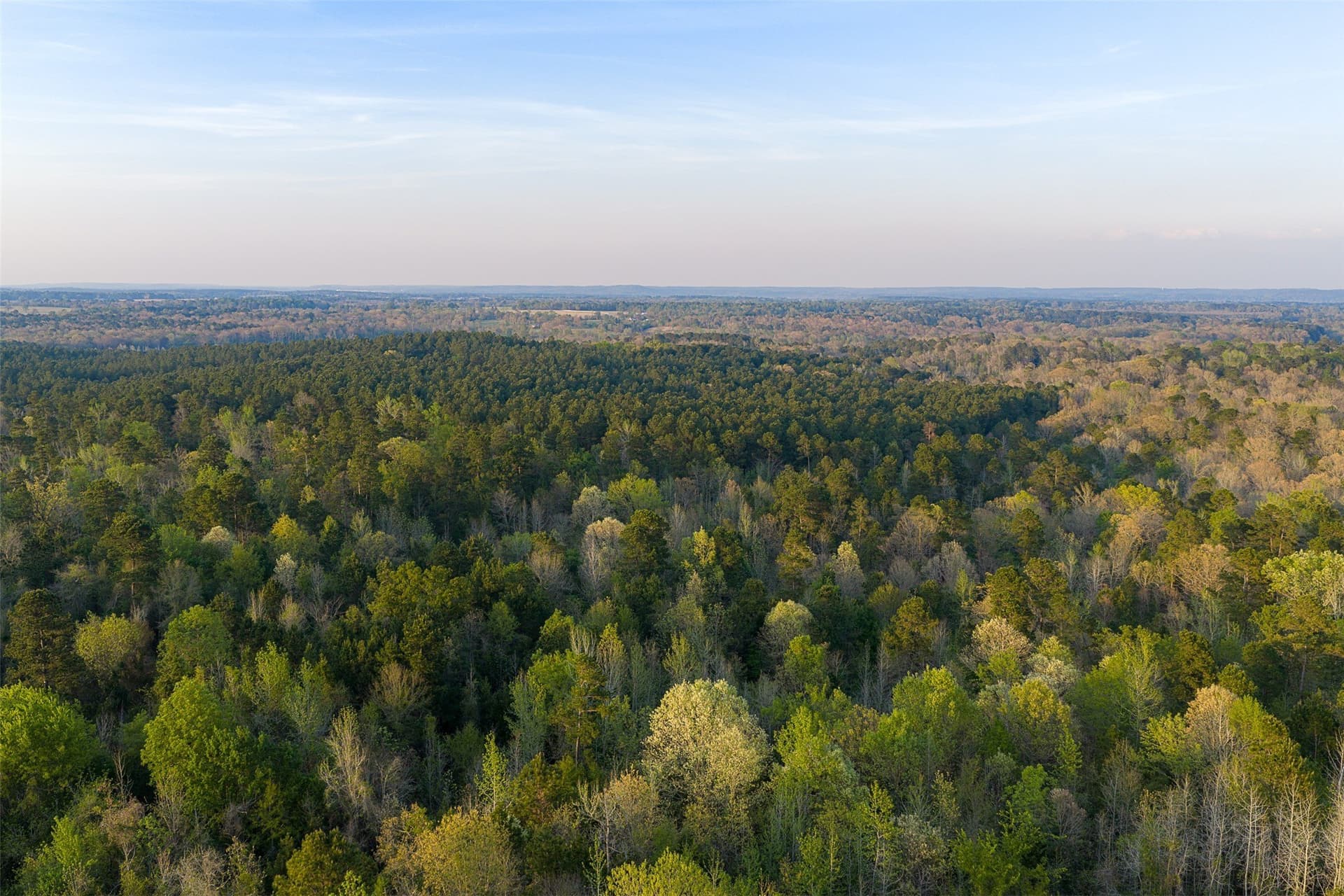 299 acres in Upshur County - photo 8