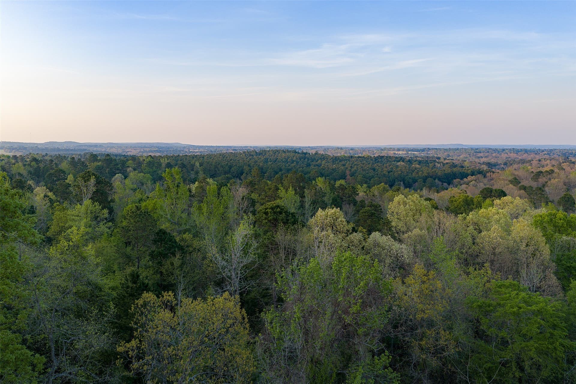 299 acres in Upshur County - photo 20