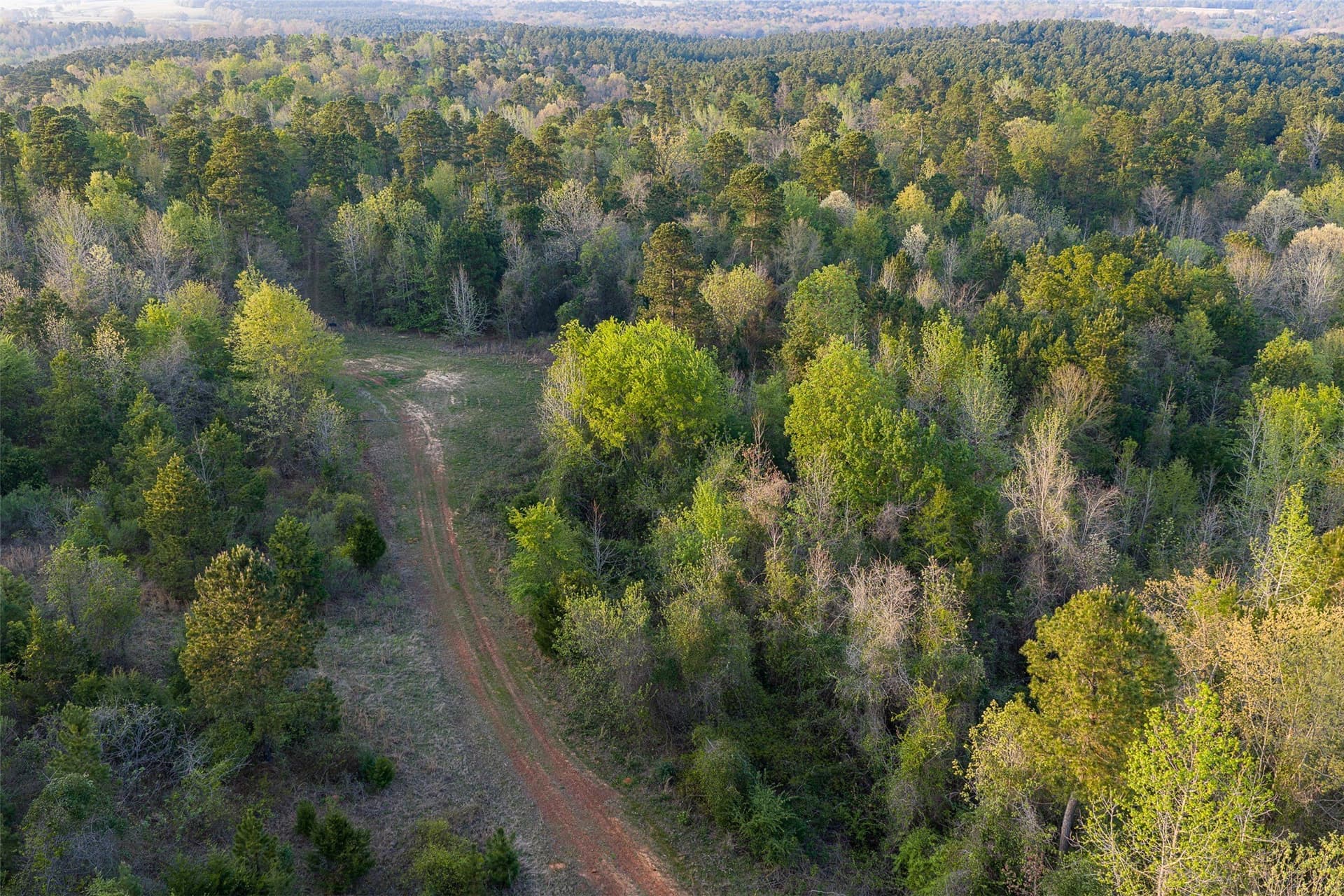 299 acres in Upshur County - photo 2