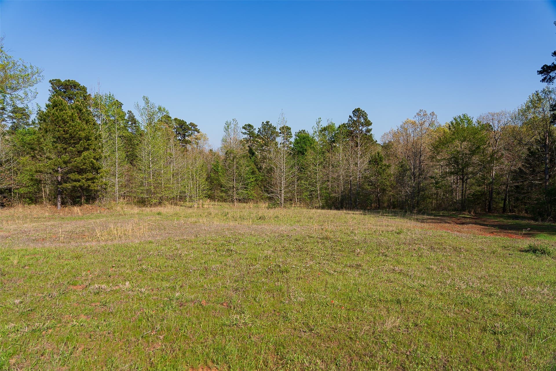299 acres in Upshur County - photo 30