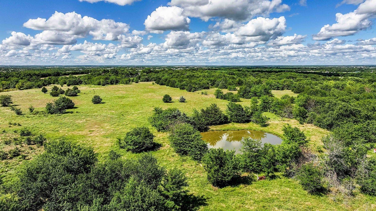 10.03 acres in Hunt County - photo 12