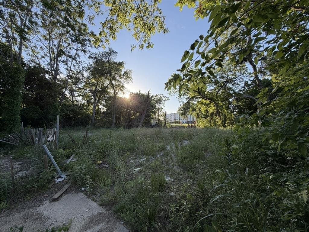 0.12 acres in Dallas County gallery image 2