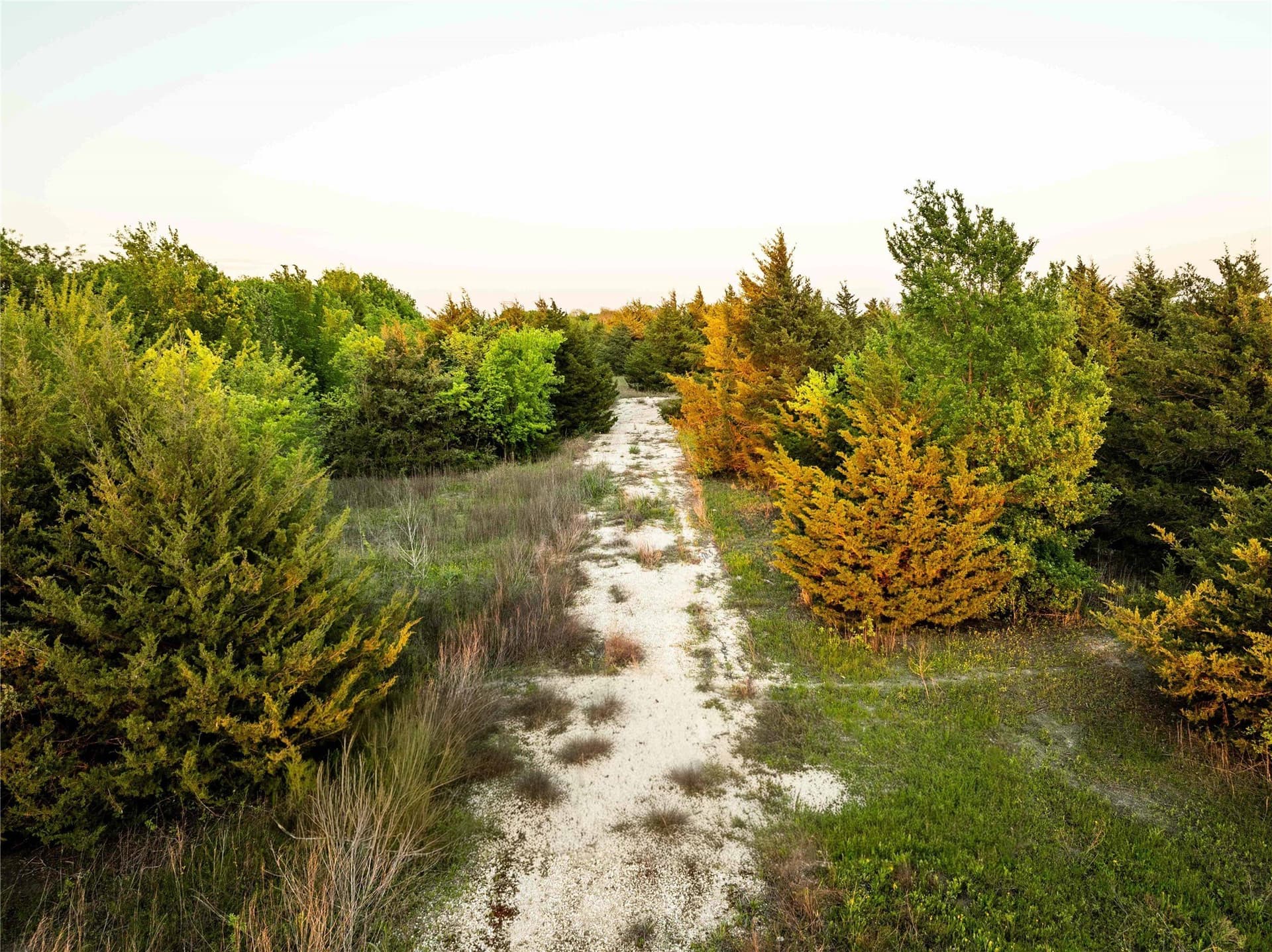 12.1 acres in Grayson County - photo 7