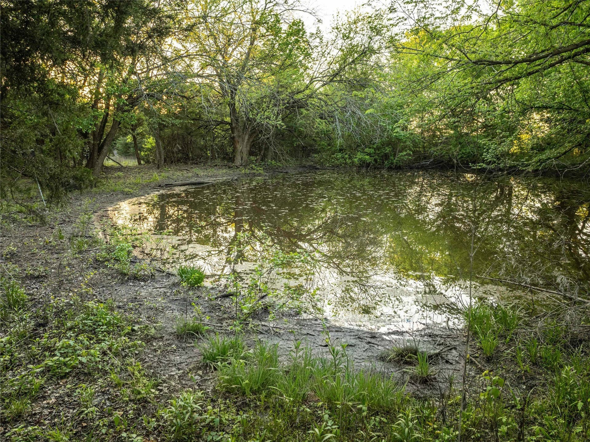 12.1 acres in Grayson County featured view