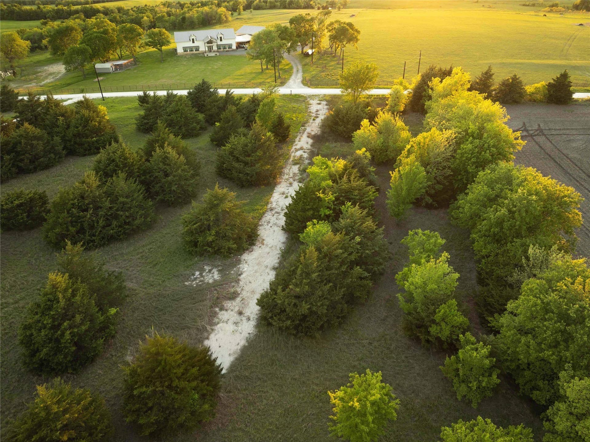 12.1 acres in Grayson County - photo 6