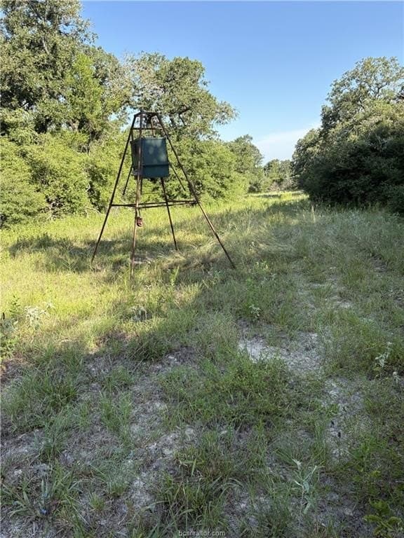 22.2 acres in Robertson County - photo 9