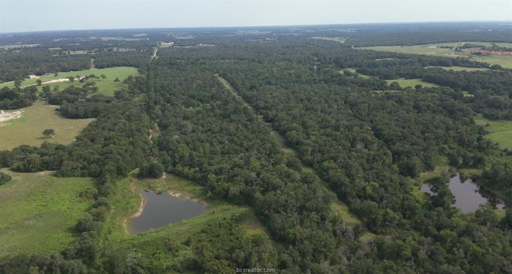 22.2 acres in Robertson County gallery image 2