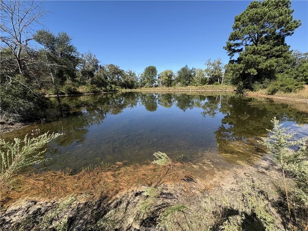 22.2 acres in Robertson County - photo 15