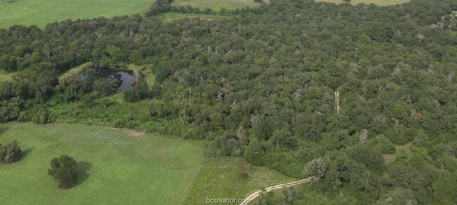 22.2 acres in Robertson County - photo 6