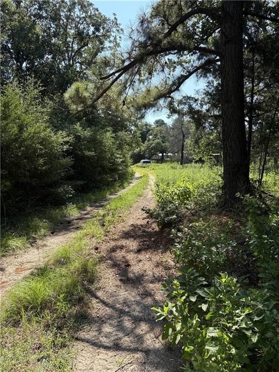 22.2 acres in Robertson County - photo 14