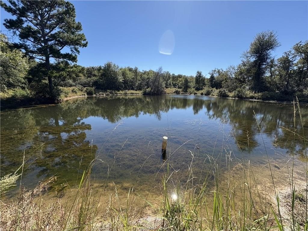 22.2 acres in Robertson County - photo 16