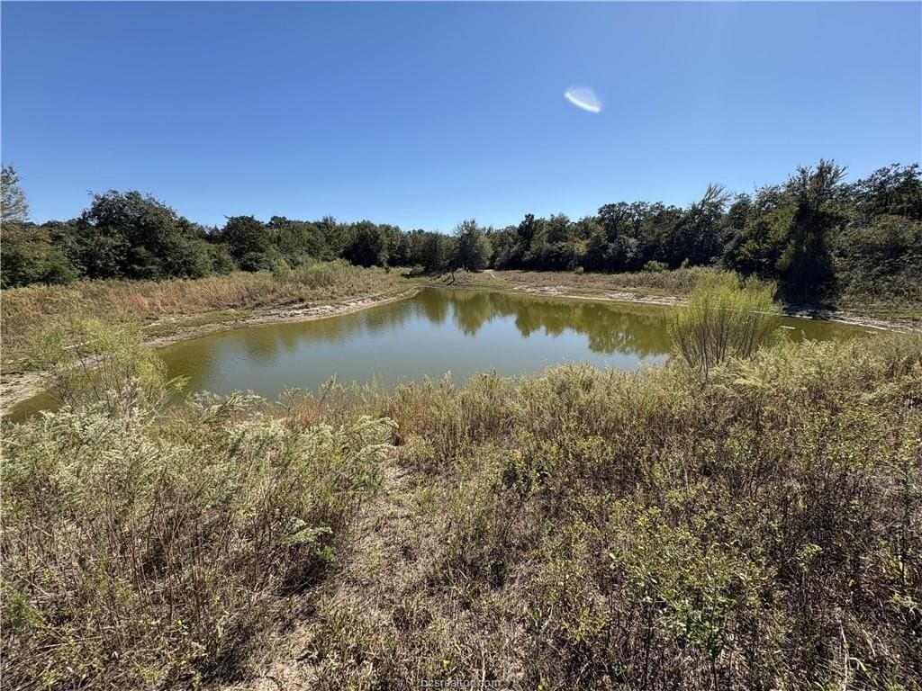 22.2 acres in Robertson County - photo 8