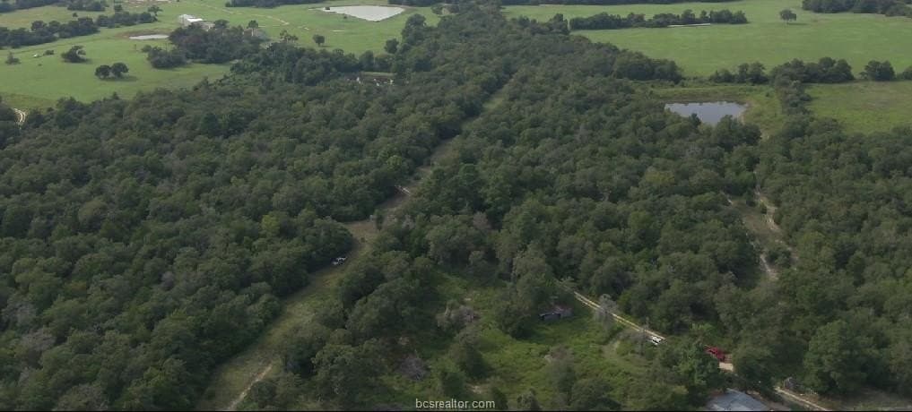 22.2 acres in Robertson County gallery image 4