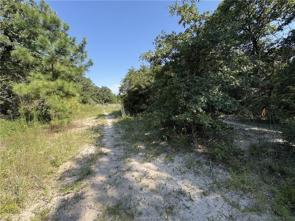 22.2 acres in Robertson County - photo 12