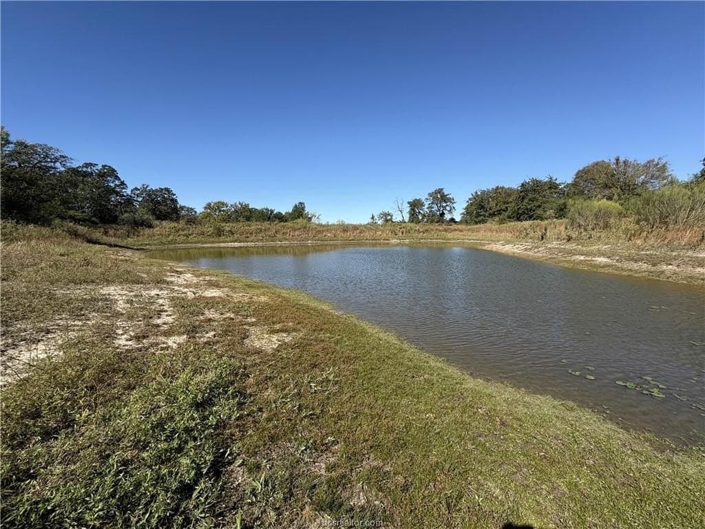 22.2 acres in Robertson County - photo 7