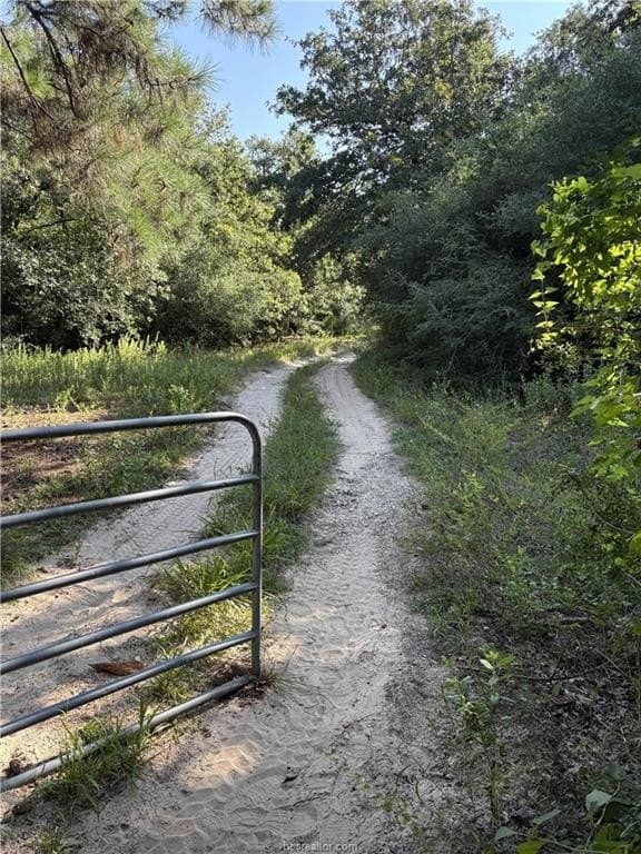 22.2 acres in Robertson County - photo 13