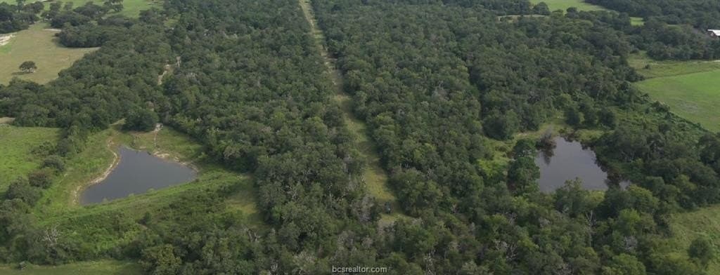 22.2 acres in Robertson County gallery image 3