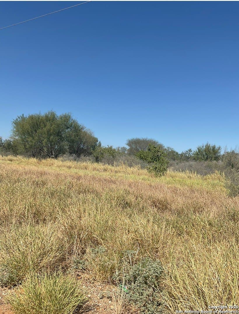 11.1 acres in La Salle County gallery image 3