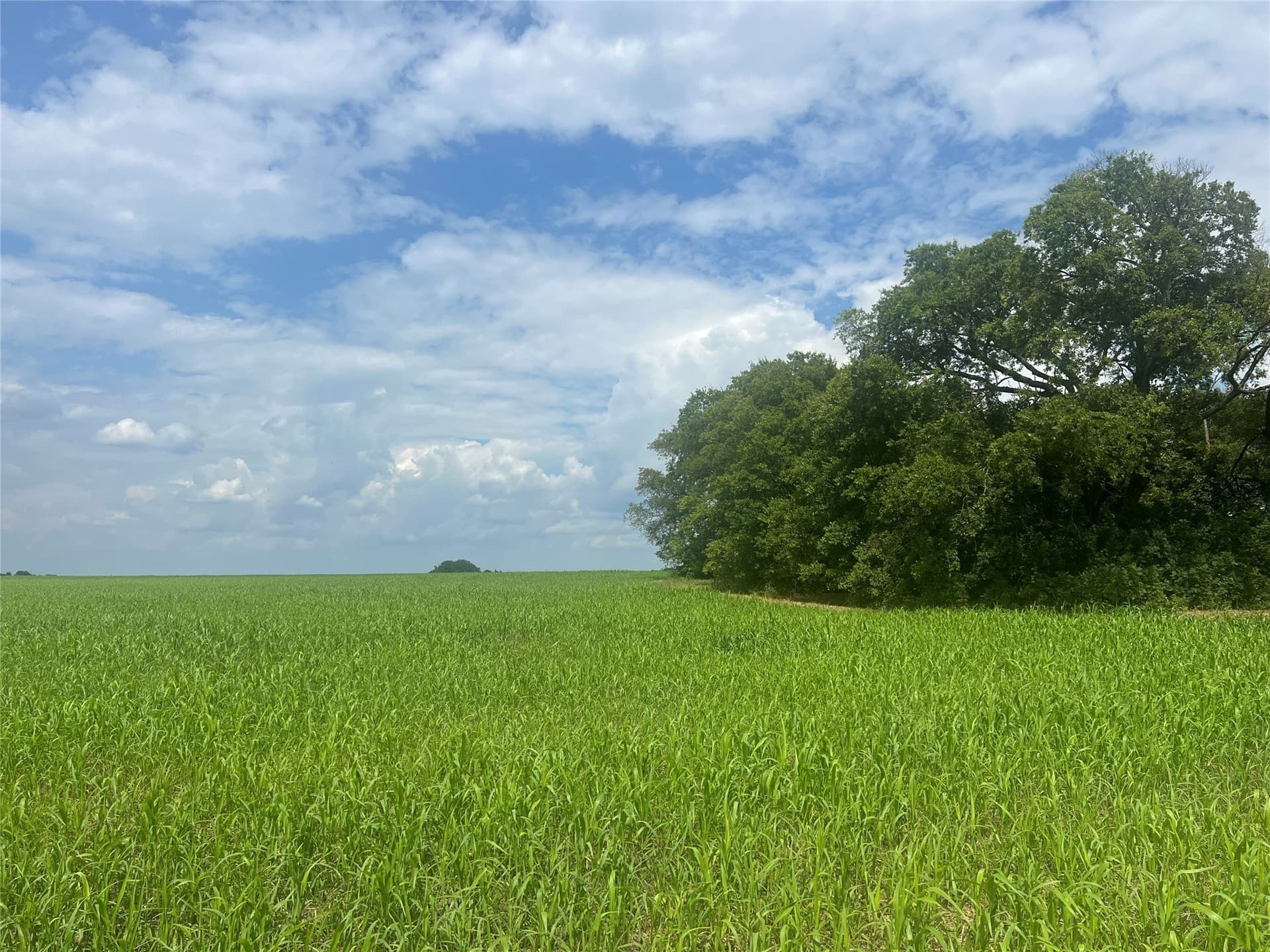34.51 acres in Fannin County - photo 9
