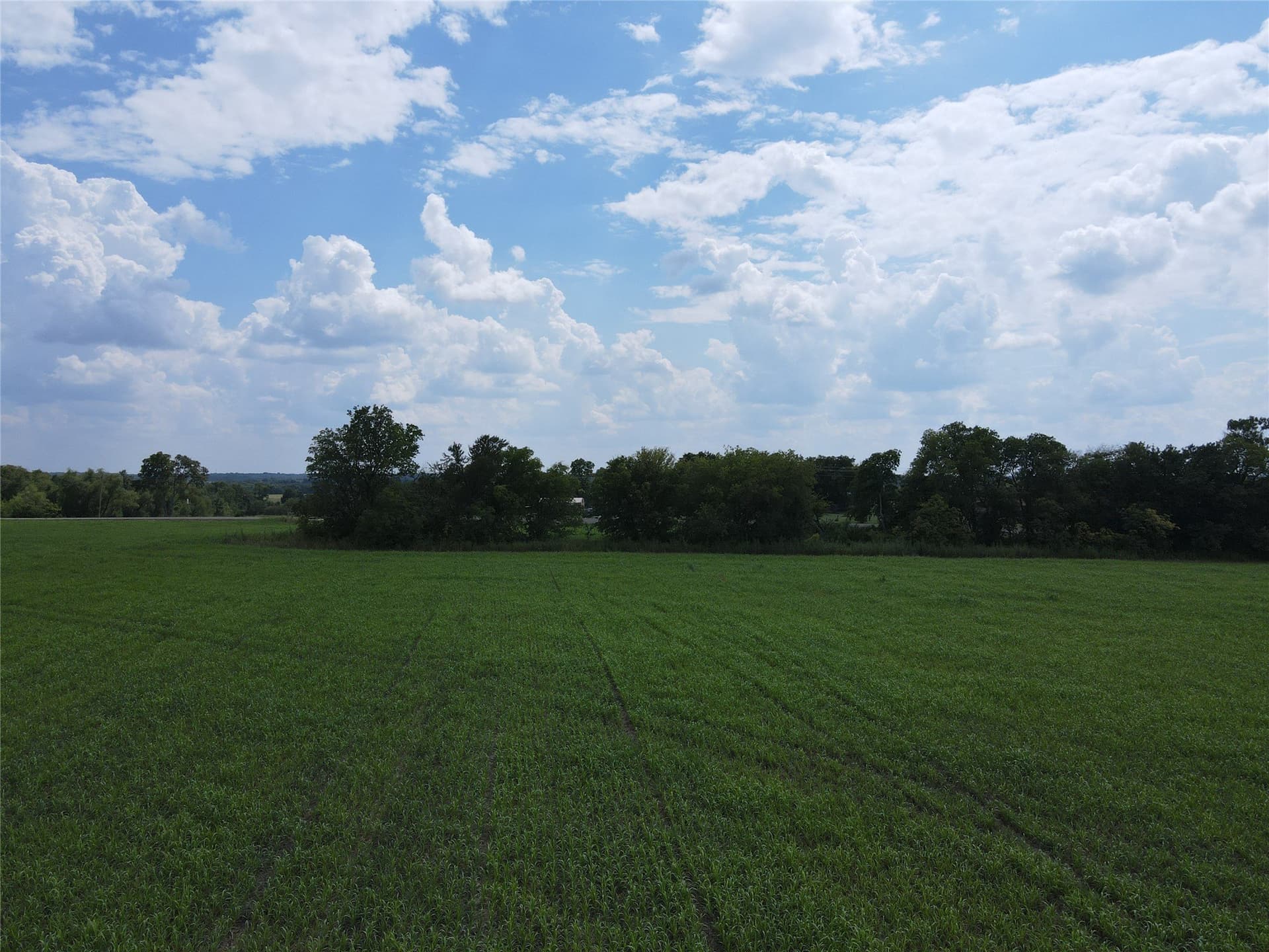 34.51 acres in Fannin County - photo 20
