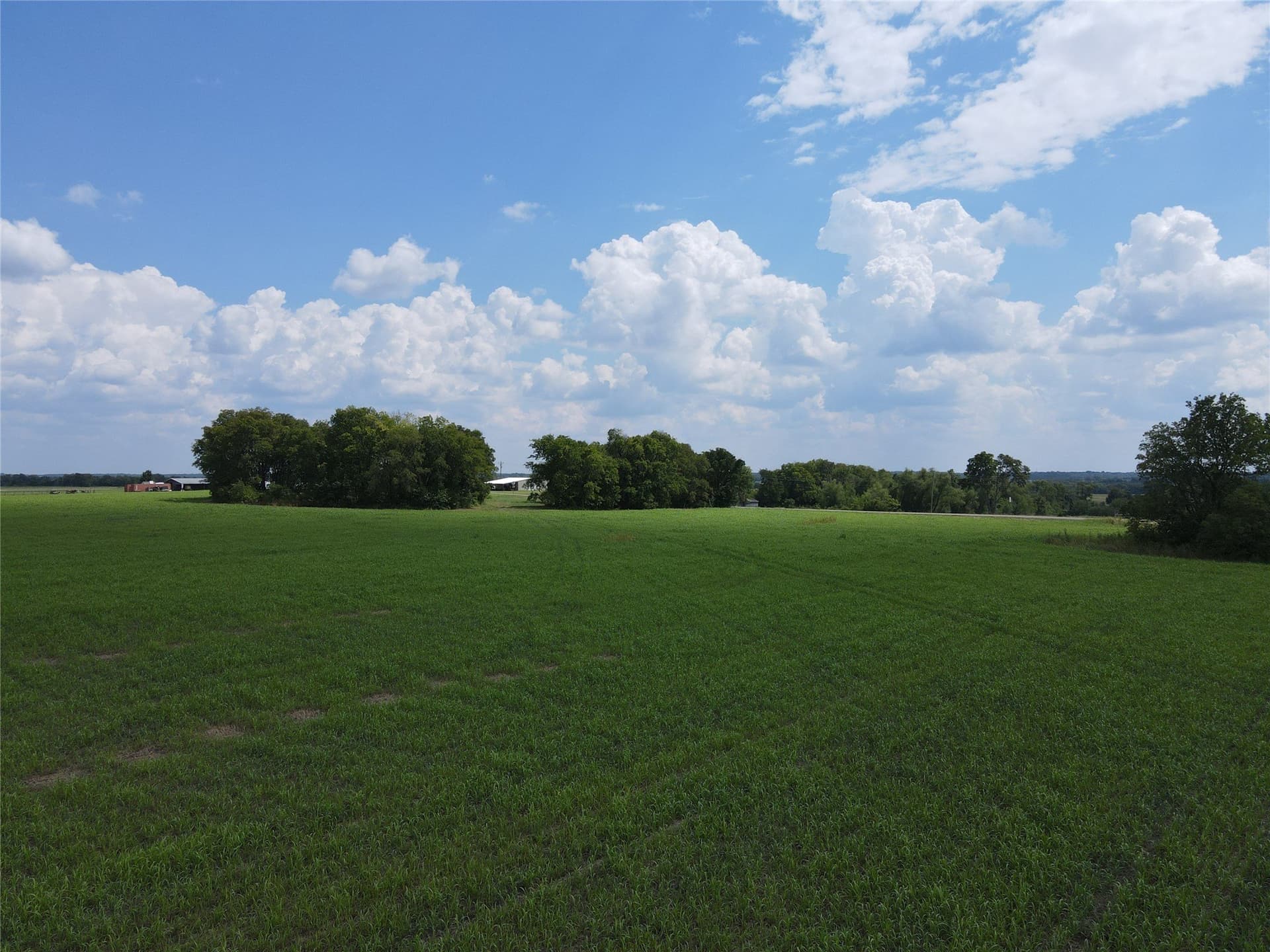 34.51 acres in Fannin County - photo 19