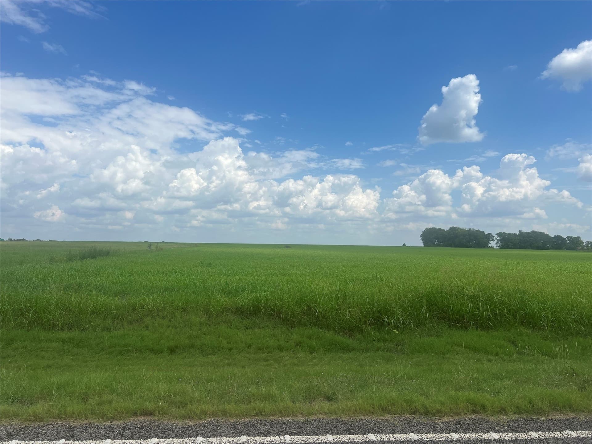 34.51 acres in Fannin County - photo 6