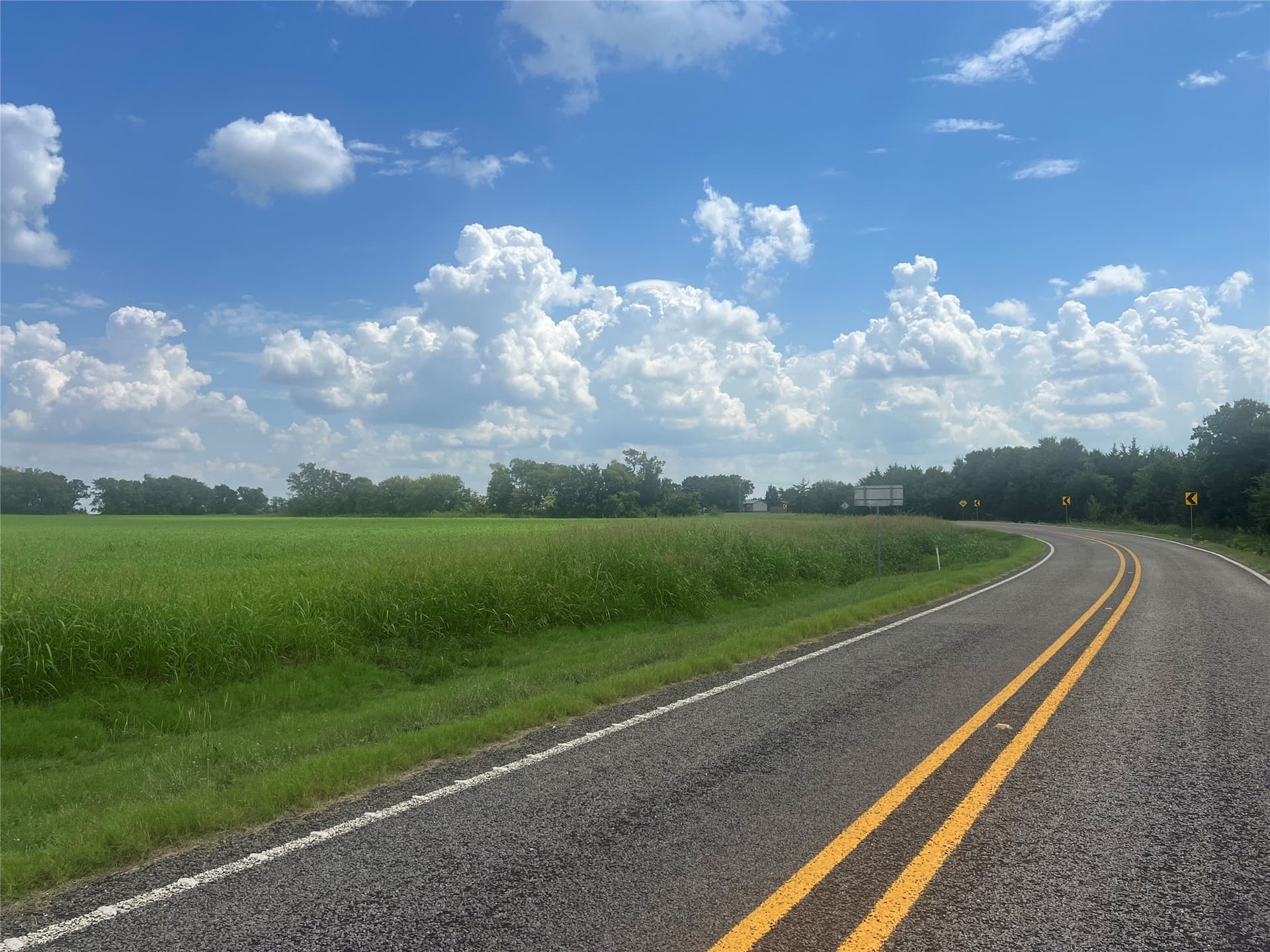 34.51 acres in Fannin County - photo 7